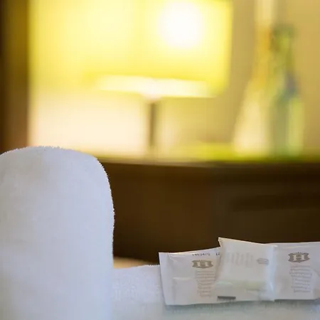 에슈보머 호프 3* 프랑크푸르트